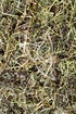 Jiao Gu Lan Tee - Herba Gymnostemmae pentaphyllum - Hier Bestellen!