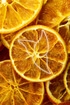 Orangenscheiben - Fructus Aurantii dulce - Hier Bestellen!
