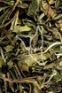 Weißer Tee - China Spezial Pai Mu Tan